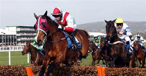 The Cheltenham Festival Races .